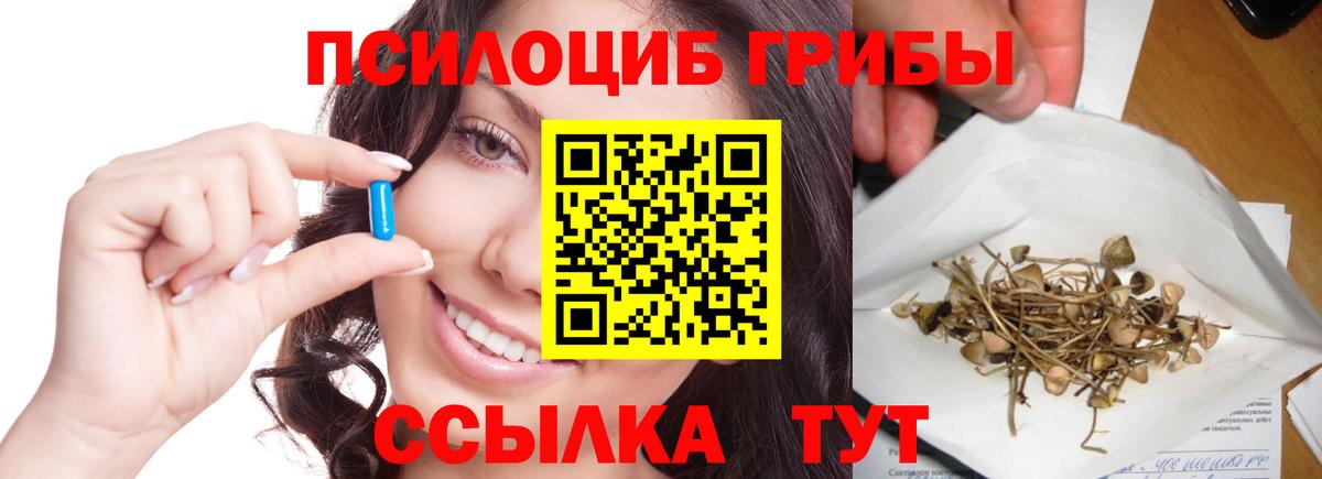 Псилоцибиновые грибы MAGIC MUSHROOMS Электросталь
